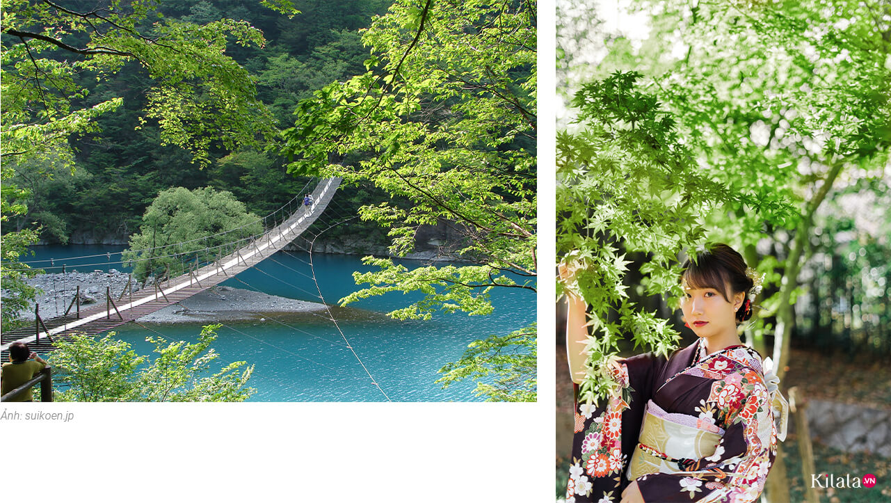 Địa chỉ: Kawanehon, quận Haibara, tỉnh Shizuoka